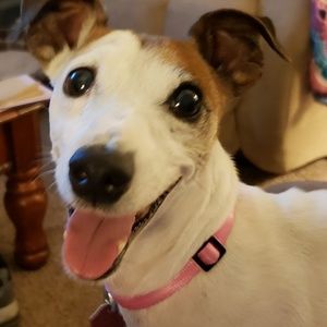 Meet your Posher, April